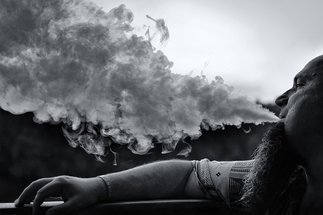 vape bundle