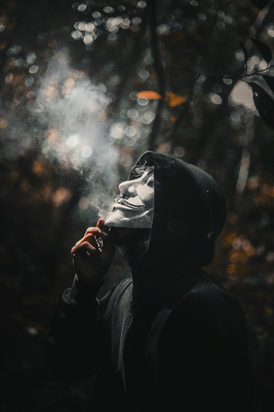vape bundle