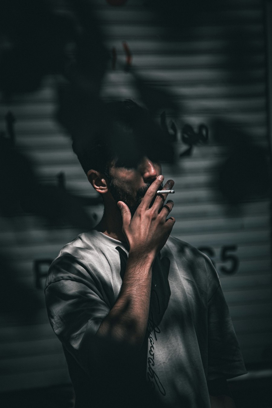 box mod